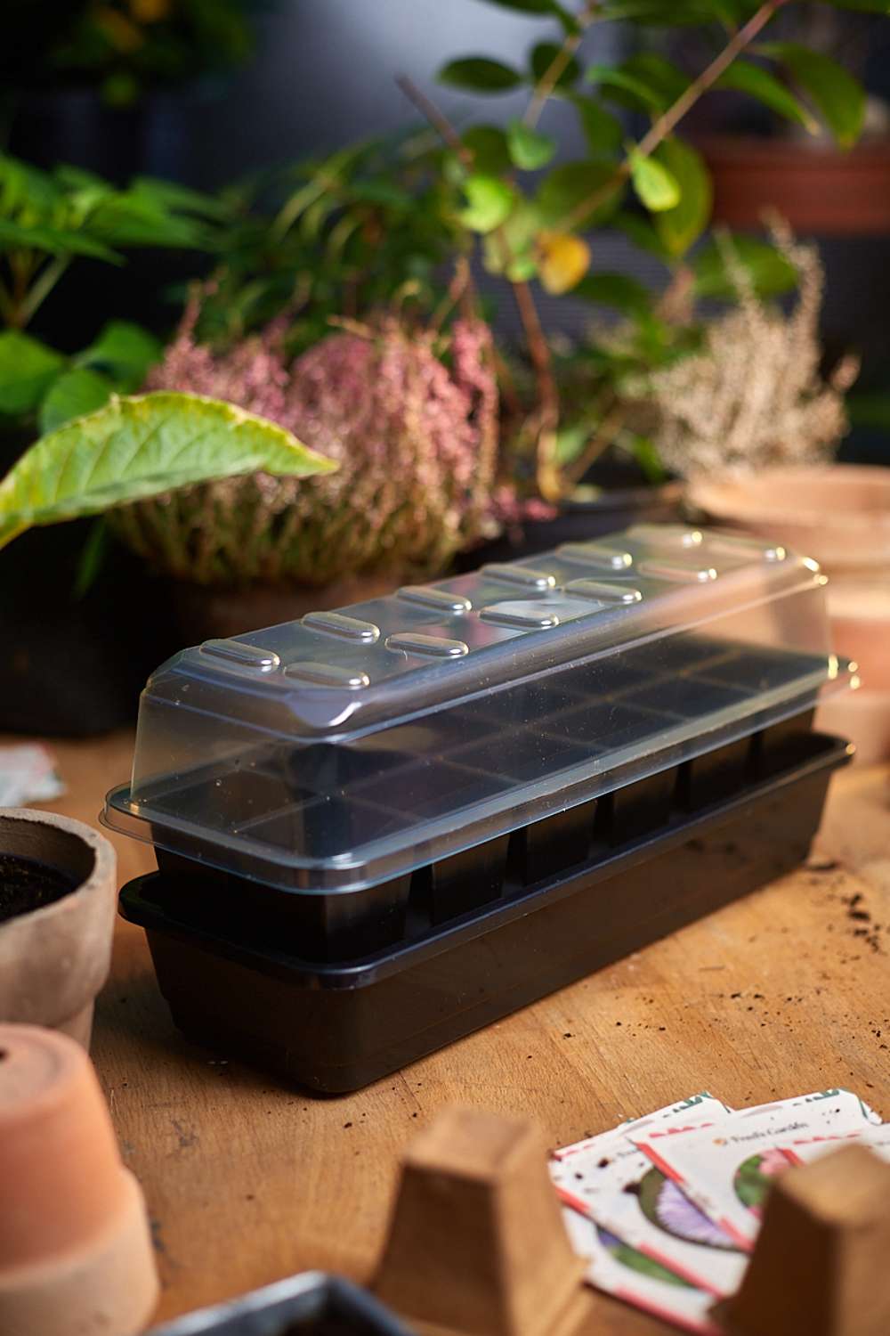 Miniväxthus med vattenreservoar